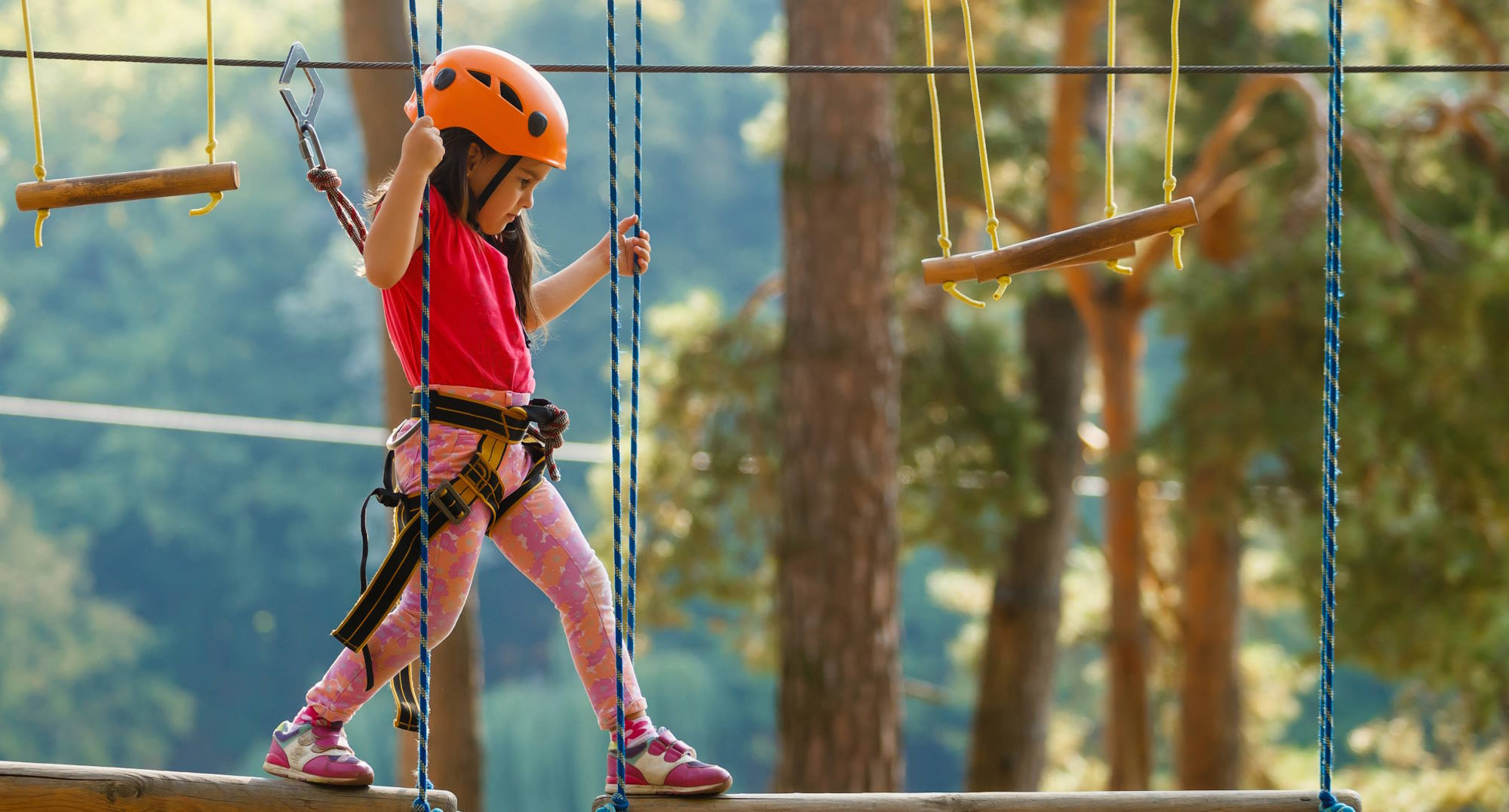 media.slide_parchi_avventura_vicino_hotel_delle_nazioni_pesaro_1