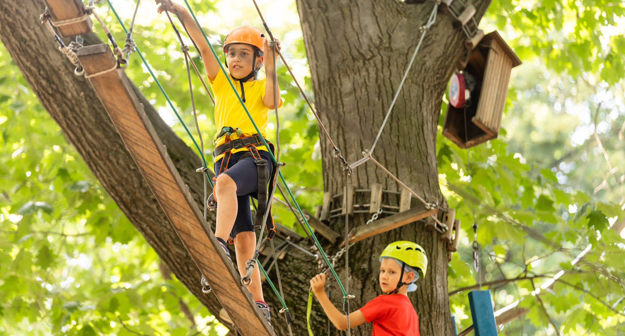 media.slide_parchi_avventura_vicino_hotel_delle_nazioni_pesaro_3